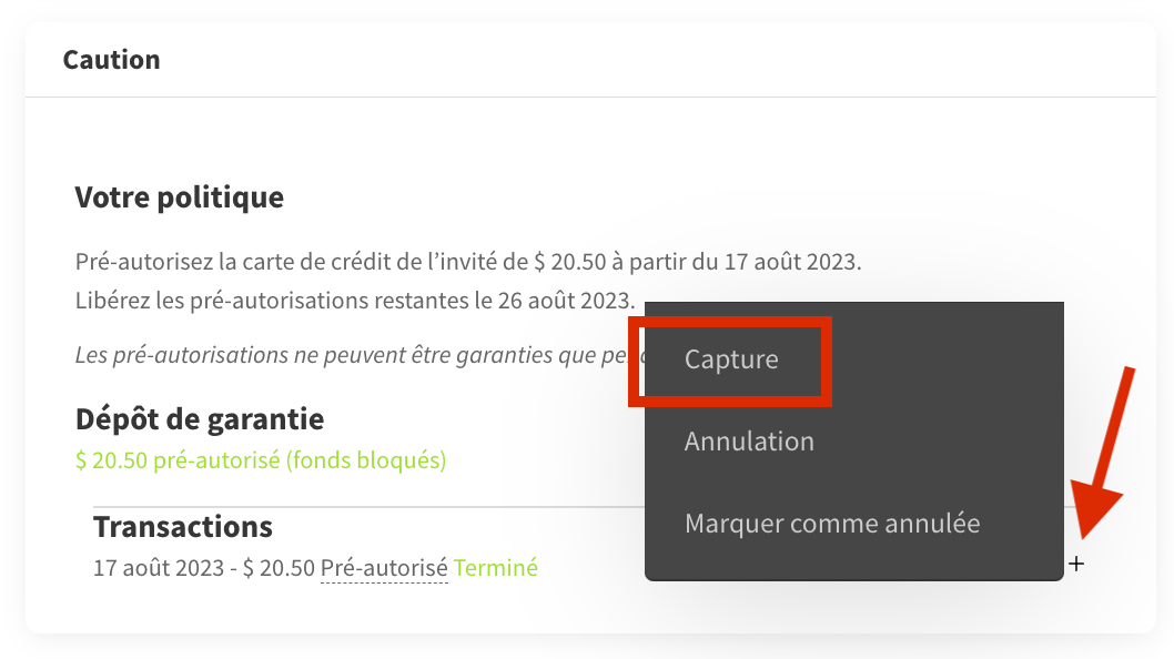 Screenshot 2023-08-17 at 09.32.00.png